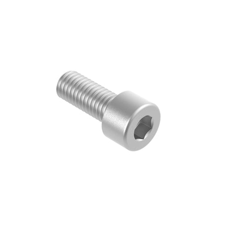 Hexagon socket head cap screw, AISI304, M10x60