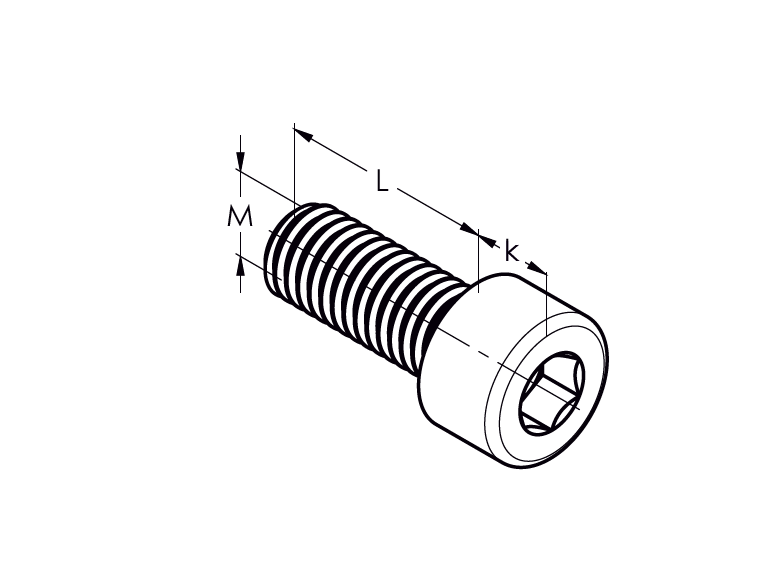 Hexagon socket head cap screw, AISI304, M12x35