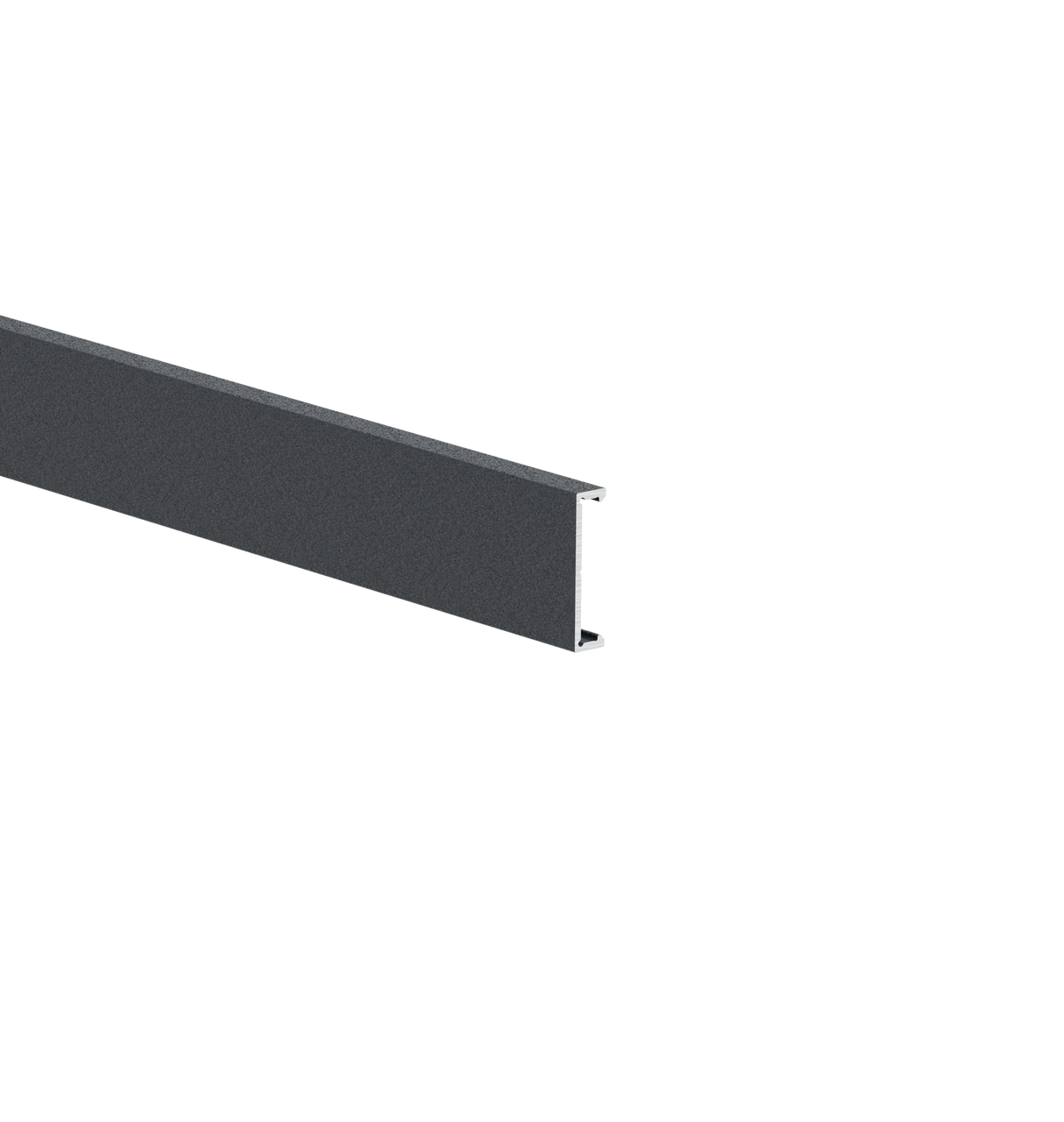 Aluminum facade strip 25x6-6000mm R7016