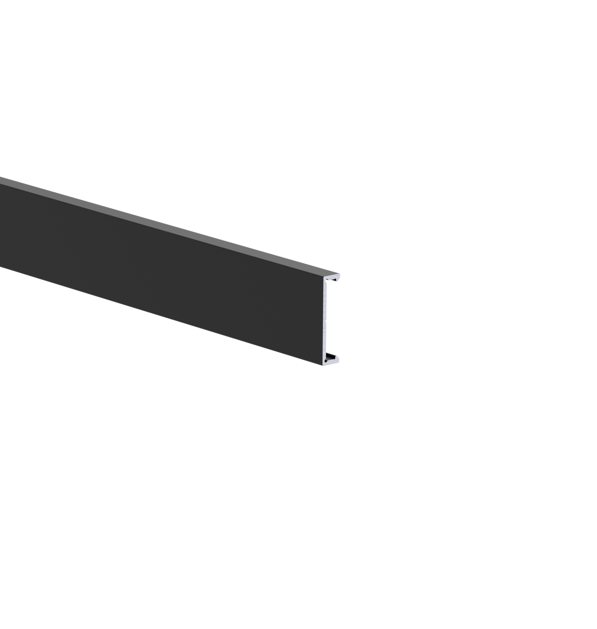 Aluminum facade strip 25x6-6000mm R9005