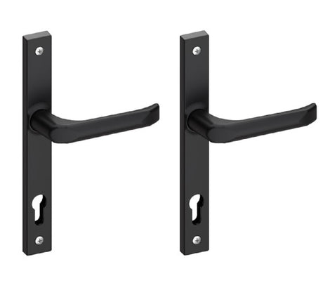 Door handle - door handle with escutcheons, AL profi